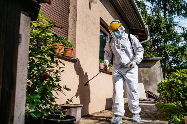 Wasp Removal Services in Eastpoint, FL