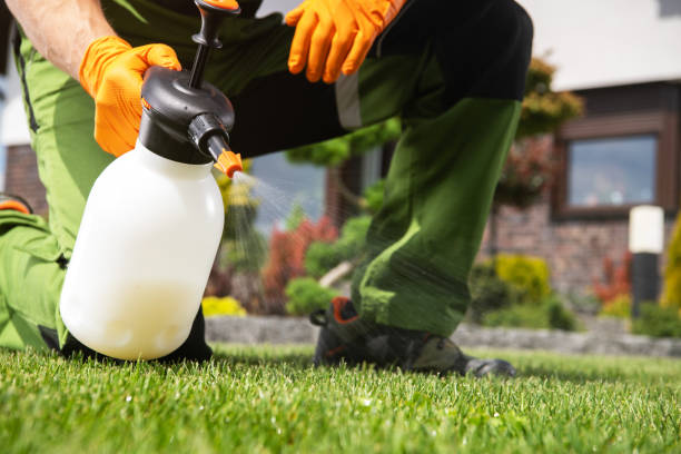 Trusted Eastpoint, FL Pest Control Experts