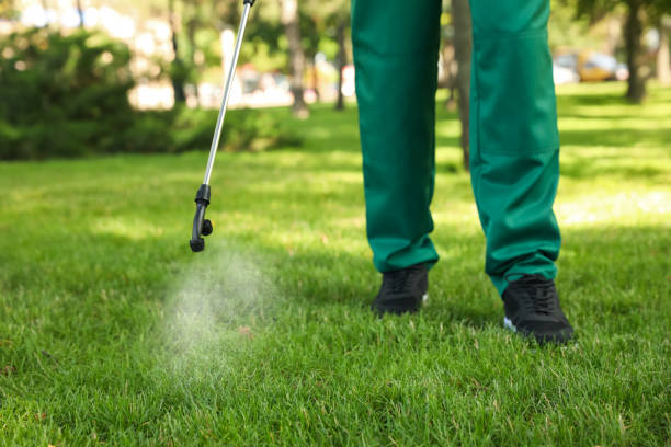 Best Flea Control Services  in Eastpoint, FL