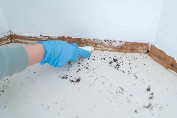 Best Pest Prevention Services  in Eastpoint, FL